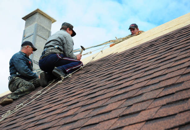 Best Roof Leak Repair  in Rochester, IN